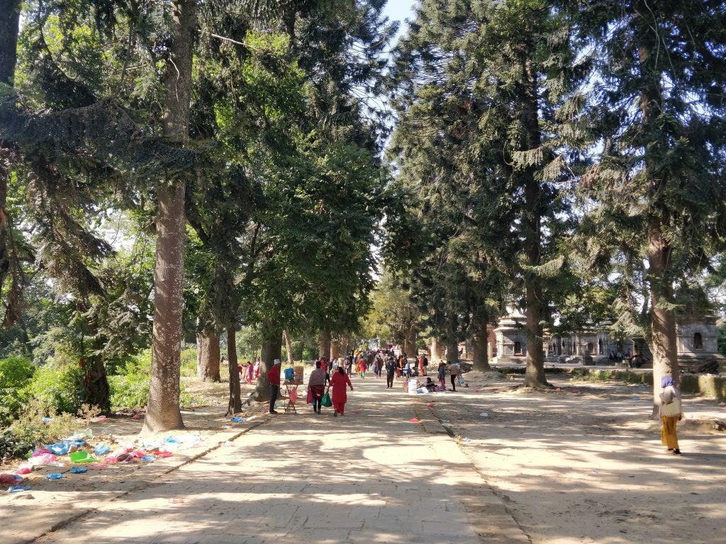 pashupati jungle